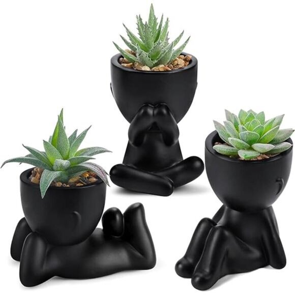 Artificial Succulents in Black Human Pot Indoor Fake Plants Home Office Decor - Picture 7 of 7